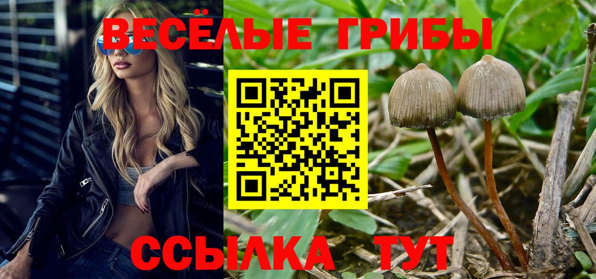 Галлюциногенные грибы мицелий Новотроицк