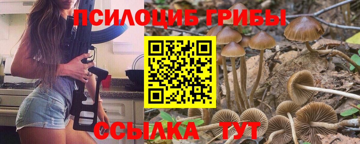 Псилоцибиновые грибы Cubensis  Вход с VPN  Новотроицк 