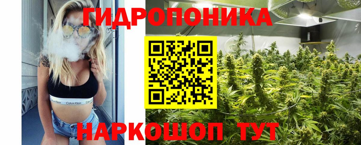 Бошки марихуана семена Новотроицк